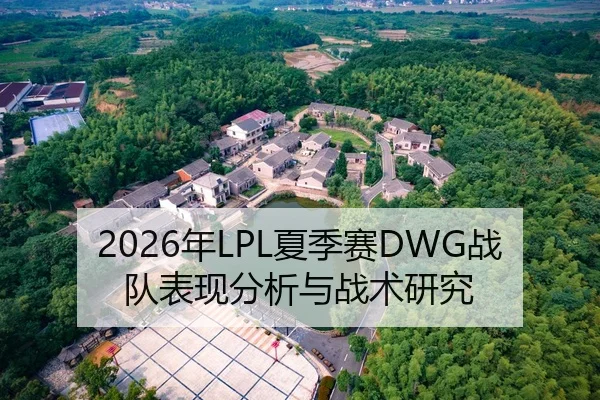 2026年LPL夏季赛DWG战队表现分析与战术研究